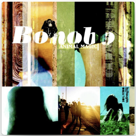 Bonobo - Animal Magic