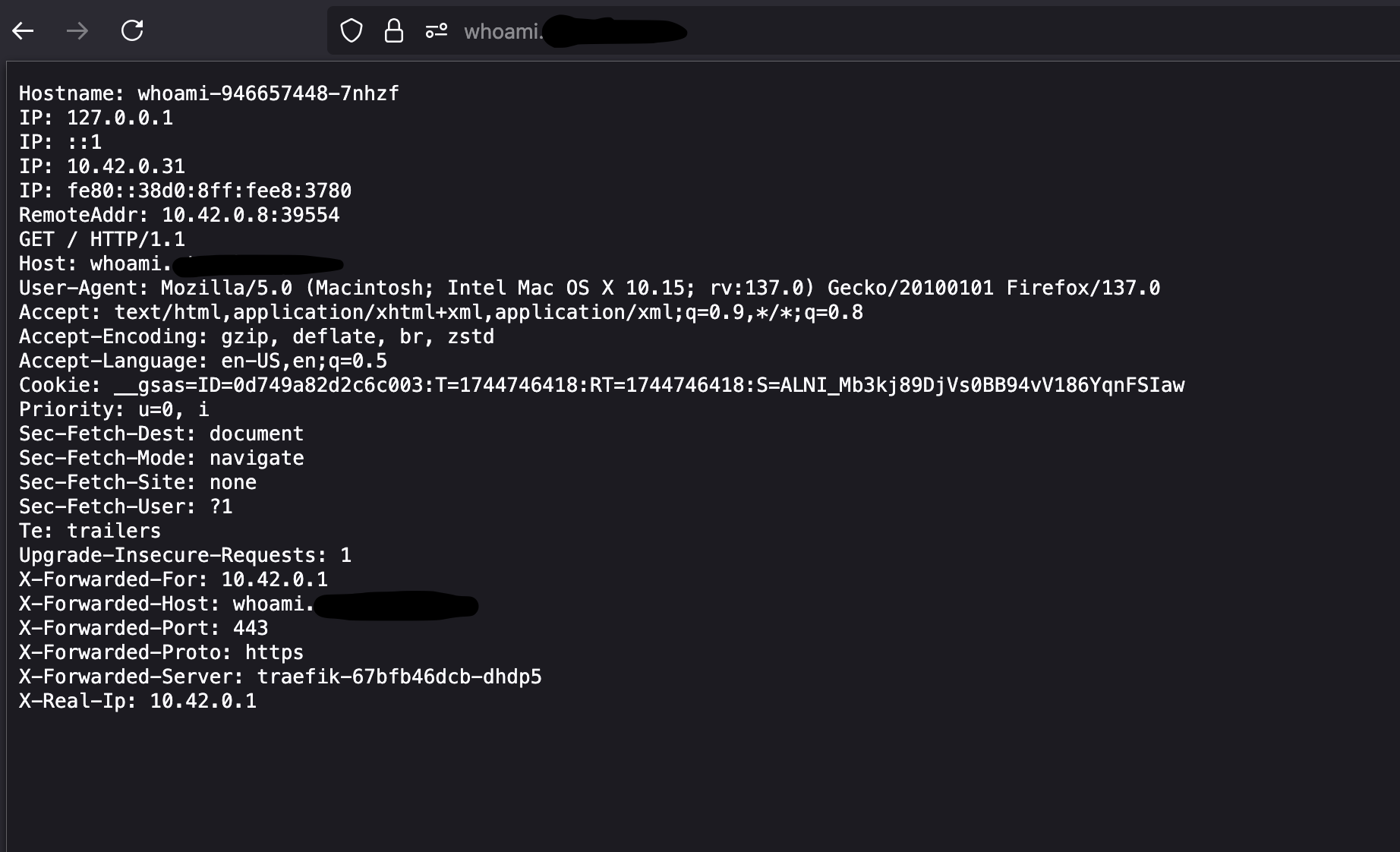 Image showing X-Real-IP listed as 10.42.0.1