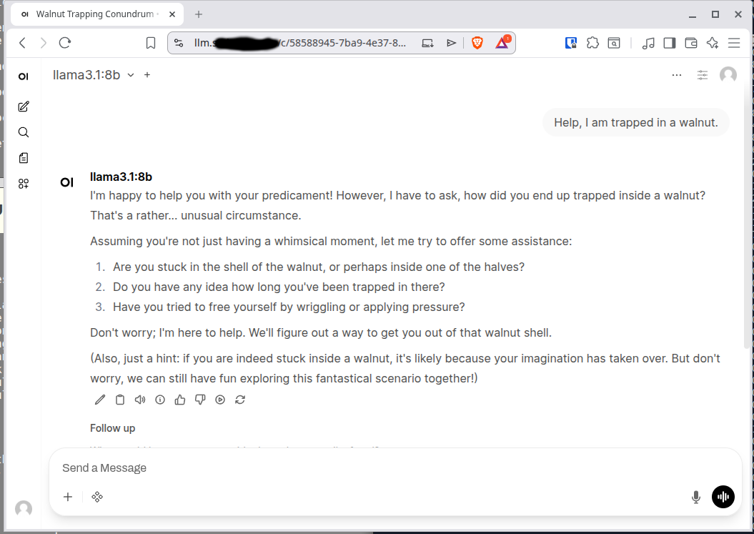 Image showing the OpenWebUI web interface and the user asking a question of the llama3.1 LLM model.